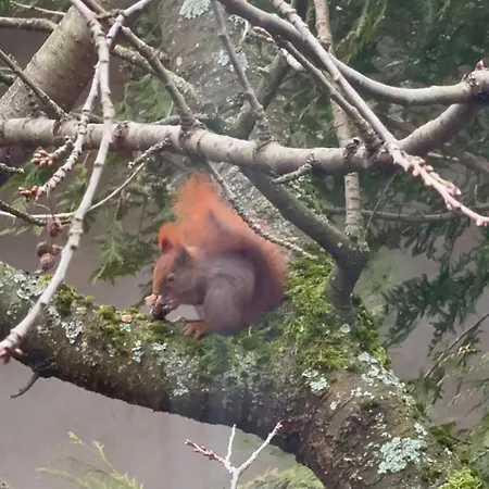 Sloneczny Z Kominkiem Lägenhet