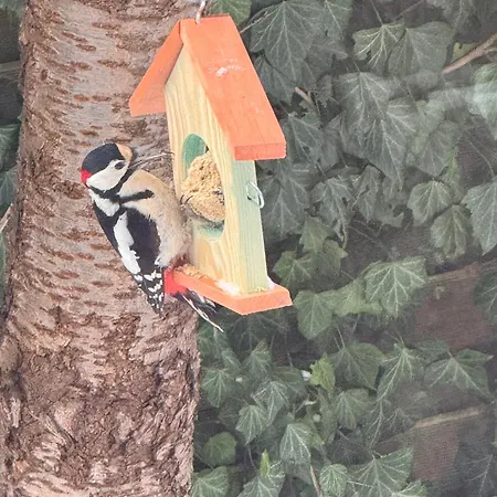 Appartement Sloneczny Z Kominkiem Gdańsk