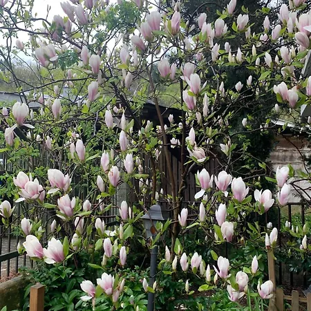 Sloneczny Z Kominkiem Gdańsk