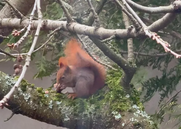 Sloneczny Z Kominkiem Apartamento