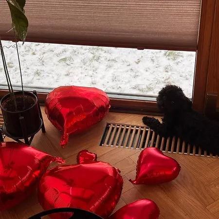 Апартаменты Sloneczny Z Kominkiem